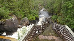 153 Auttiköngästä