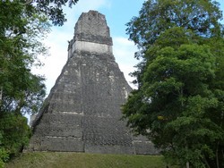 1003 Tikal