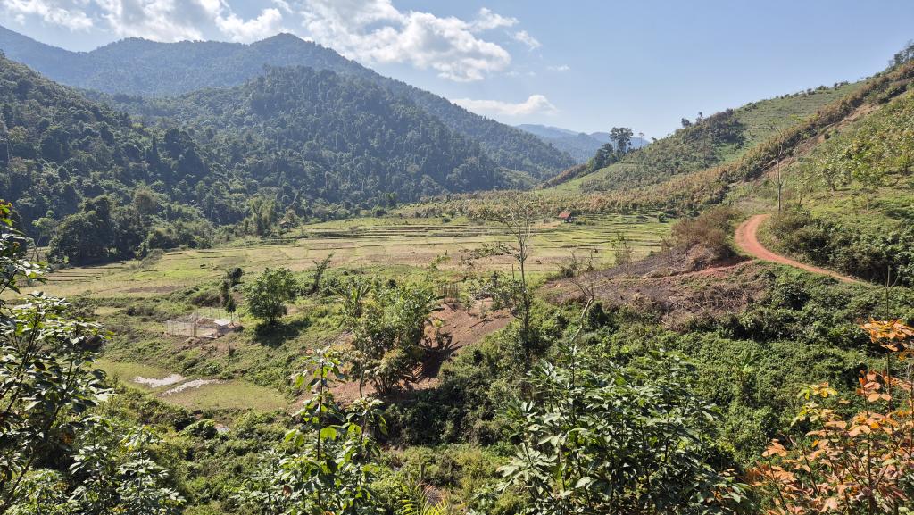 285 Trekking Luang Namtha