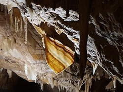 6031 Ngilgi Cave