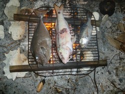 2007 Unterwasserwelt Tahanea