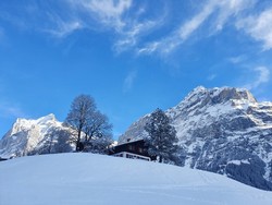 6506 Grindelwald