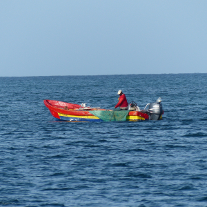 7-Fischer vor Martinique