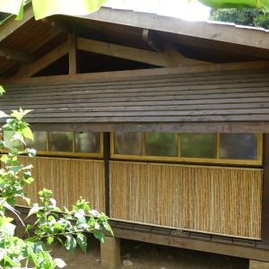 462-Bambushaus