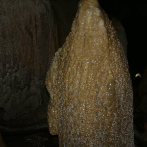 117-Waipu-Caves