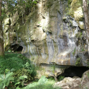 146-Waipu-Caves