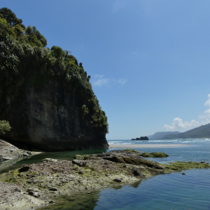 711-Maori-Sea-Caves