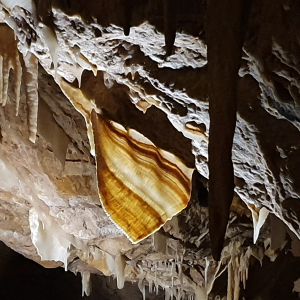 59-Ngilgi-Cave