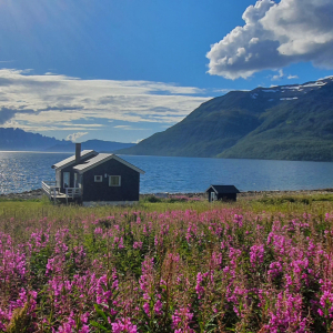 551-Arctic_Fjord_Camp