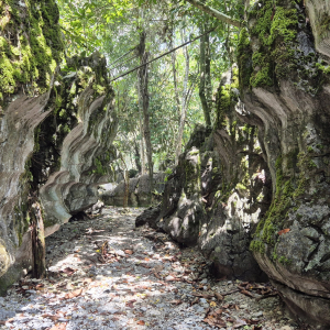 080-Paku Rock Maze Garden