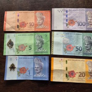 142-Malaysia Ringit