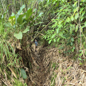 158-Annah Rais Longhouse