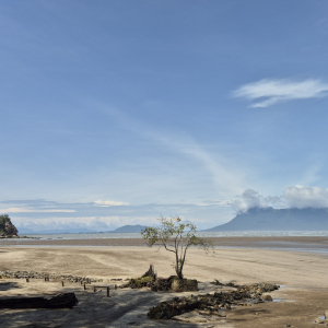 442-Bako-Nationalpark