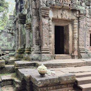 112-Natur-Angkor