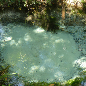 136-Heiliges Wasser-Phnom-Kulen