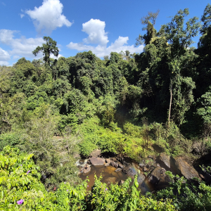 147-Wasserfall-Phnom-Kulen-NP