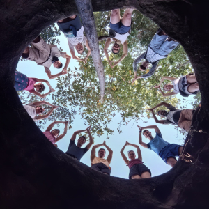 153-Poeng-Ta-Kho-Cliffs