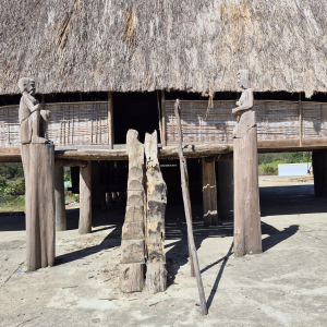 137-Fahrt-nach-Mang-Den