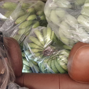 164-Bananentransporter