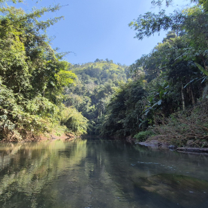 324-Kajak-Nam-Ha-Fluss