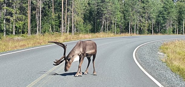 Finnland