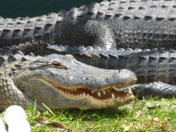 Florida