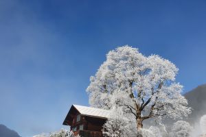 Schnee in Grindelwald