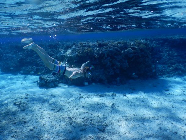 Palmerston - Cook Islands -Beveridge Reef